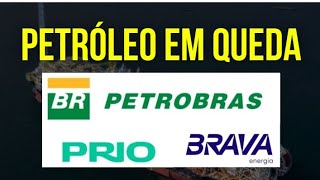 PETR4 PETROBRAS PRIO FORTALECE CRESCIMENTO BRAVA ENERGIA dividendos petr4 investir prio3 brav3 [upl. by Holzman]