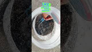 For maximum flowers rose garden care viral fertilizer [upl. by Dehsar]