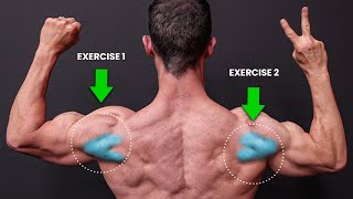 The ONLY 2 Exercises You Need for Rear Delts NO SERIOUSLY [upl. by Royo]