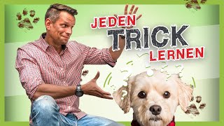 So lernt dein Hund JEDEN Trick Hundetricks leicht gemacht [upl. by Agnew]