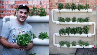 How To Make inexpensive Hydroponic System and start Hydroponics Garden At home 2021 [upl. by Bordy]