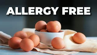 Scientists Develop Allergy Free Eggs [upl. by Eisse]