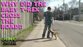 Why did the baby TRex cross the road  Best of Dino Dan Treks Adventures [upl. by Jemmie]