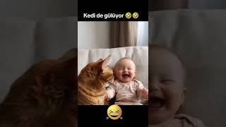 Kedi de gülüyor 🤣🤣Gülme Terapisi🤣Kanalıma Abone olmayı unutmayın😸😻eğlencelivideolar kedi komik [upl. by Luiza503]