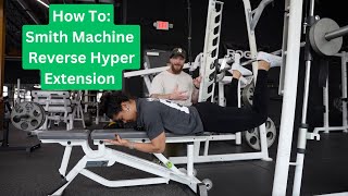 How To Smith Machine Reverse Hyper Extension [upl. by Anela]