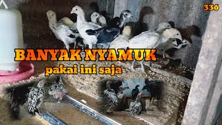 CARA MENGUSIR NYAMUK PADA KANDANG AYAM 2024 [upl. by Elconin]