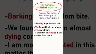 Participles as adjectives in Grammar  participles and adjectives parts of speech English grammar [upl. by Kamal475]