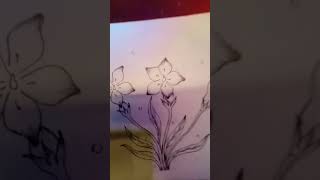 Very hard drawing drawing art simpledrawingstepbystep shortvideo viralvideo [upl. by Ahseena273]