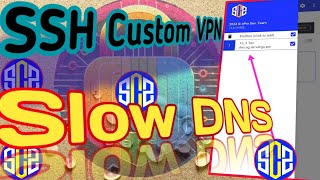 How to Set Up SSH Custom VPN with Slow DNS Settings  StepbyStep Guide [upl. by Carina]