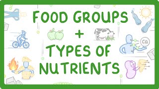 GCSE Biology  What are Nutrients Carbohydrates Lipids Proteins Vitamins amp Minerals 15 [upl. by Bringhurst]