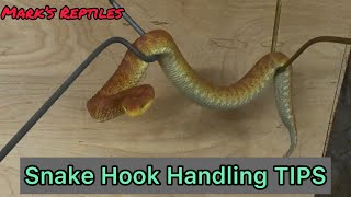 Snake Hook Tips [upl. by Palgrave578]