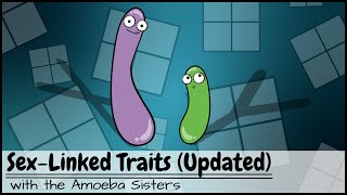 Punnett Squares and SexLinked Traits UPDATED [upl. by Esinahs66]