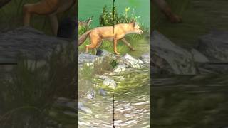 Fox forest sniper target trending foryou viralvideo viralshort gaming animals shorts [upl. by Eitnom]