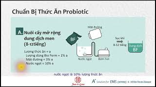 Thử nghiệm probiotic để ức chế Vibrio parahaemolyticus trong nuôi tôm EMS Bệnh phân trắng [upl. by Morna]