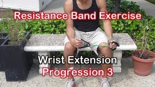 Resistance Band Exercises for Golf Elbow amp Tennis Elbow Tendonitis [upl. by Muire626]