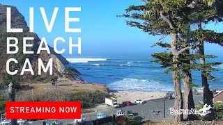 Live Surf Cam Point Arena California [upl. by Fielding238]