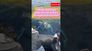 WhaleWatchers AweStruck by Rare Humpback Encounter USAUKEuropeCanadaAsiaUAEIndiaAustralia [upl. by Emerej]