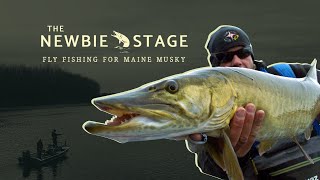 Fly Fishing for Maine Musky  The Newbie Stage [upl. by Yreva]