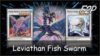 F2P LV3 FISH SYNCHRO  XYZ with Leviathan Dragon YuGiOh Duel Links [upl. by Gnourt]