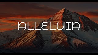 ALLELUIA  Soaking worship instrumental  Prayer and Devotional [upl. by Fairman]