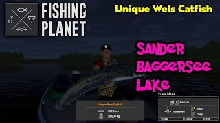 Unique Wels Catfish Sander Baggersee Lake  Fishing Planet [upl. by Offen]