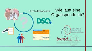 Wie läuft eine Organspende ab  Aufklärung Organspende [upl. by Aisor]