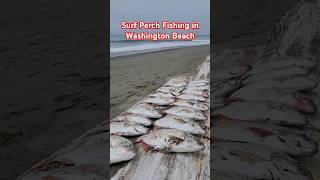 Surf Perch Fishing In Washington Beach shorts fishing surfperch [upl. by Yukio141]