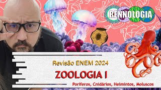 REVISÃO ENEM 2024  Zoologia I [upl. by Beedon333]