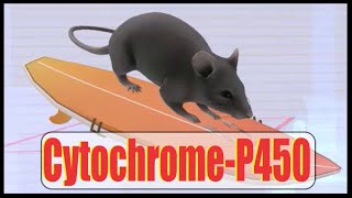 CytochromeP450 Interactions Mnemonic [upl. by Singh173]