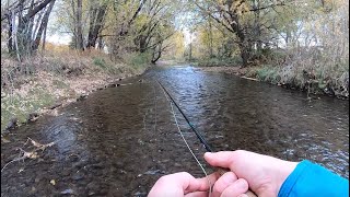 Fly Fishing an urban stream for trout and bass [upl. by Ymmij839]