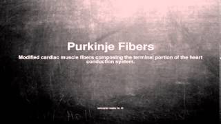 Medical vocabulary What does Purkinje Fibers mean [upl. by Etneciv488]