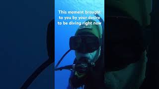 A Blue Mind Moment bluemind scuba vets scubalife ptsd pls like and hit that subscribe button [upl. by Kiley]