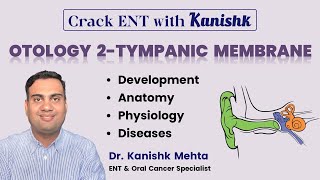 TYMPANIC MEMBRANE  ANATOMY OF EAR  ENT LECTURES  NEET PG  DR KANISHK MEHTA [upl. by Llenaej629]