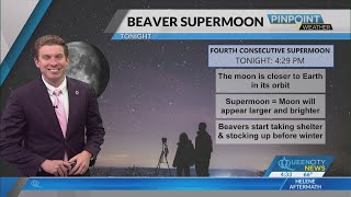 When to watch tonights Beaver supermoon and Leonids meteor shower [upl. by Buchanan]