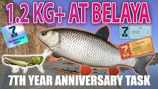 24 Chub on Telestick  STAGE 2 7th Anniversary Task PREMIUM RF4 Belaya River [upl. by Asira]