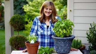 How to Prune Basil [upl. by Greg]