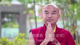 2012 New Years Greeting from Yongey Mingyur Rinpoche [upl. by Etac]