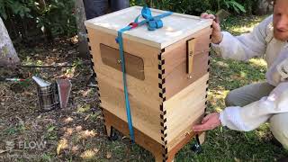 🐝How to move a Flow Beehive a short distance🐝 LIVE [upl. by Ennazzus]