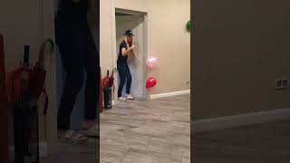 Funny dog finds pink and red balloons [upl. by Aruam]