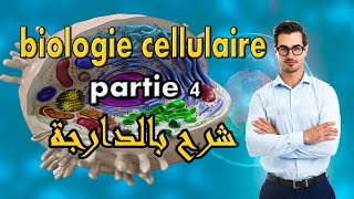 La biologie cellulaire Partie 4 le noyau   البيولوجي بالدارجة [upl. by Ratib]