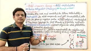 Anticancer Drugs Part08 Antimetabolites  Purine Analogue or Antagonist  Anti Cancer [upl. by Attenov]