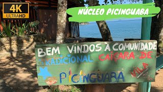 Praia Picinguaba  Comunidade Tradicional Caiçara Ubatuba 🏖️ [upl. by Burtis]