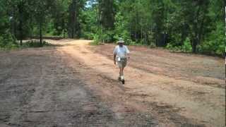 Planting Centipedegrass Seed in Alabama [upl. by Amjan152]