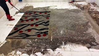 Extremely dirty heavy shaggy carpet cleaning satisfying ASMR [upl. by Leynad310]