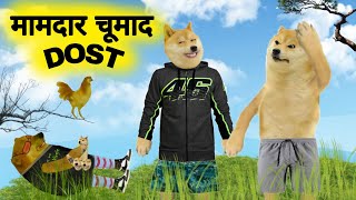 मामदार चुमाद दोस्त 😃Mamdar Chumad DostNew Dogesh Memes Video Cheems Dog Dogesh Kaka [upl. by Davis]