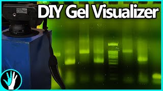 Building a Gel Doc  The secret to perfect gel images [upl. by Aerehs]