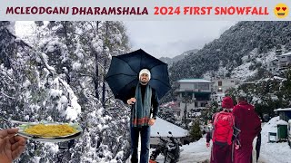 Snowfall in Mcleodganj 😍Dharamshala 2024 first snowfall  Himachal Pradesh [upl. by Yderf165]