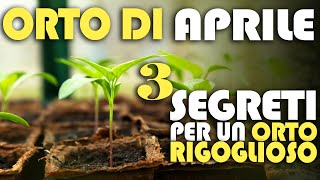 ORTO di APRILE  3 SEGRETI per un ORTO RIGOGLIOSO [upl. by Yetti11]