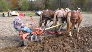 2015 Draft Horse amp Mule Plow Day full [upl. by Alberic]