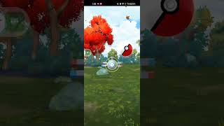 See how I Catch a Magnemite in Pokemon go pokemon pokemongo [upl. by Kemp]